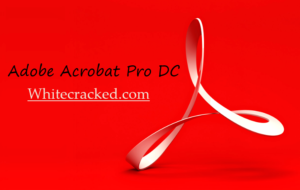 adobe acrobat pro dc download torrent mac