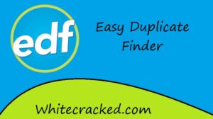 easy duplicate finder free license key