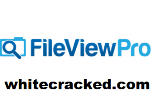 FileViewPro Crack