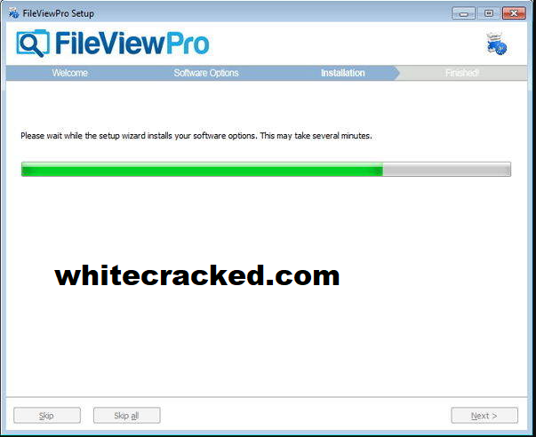 FileViewPro Crack